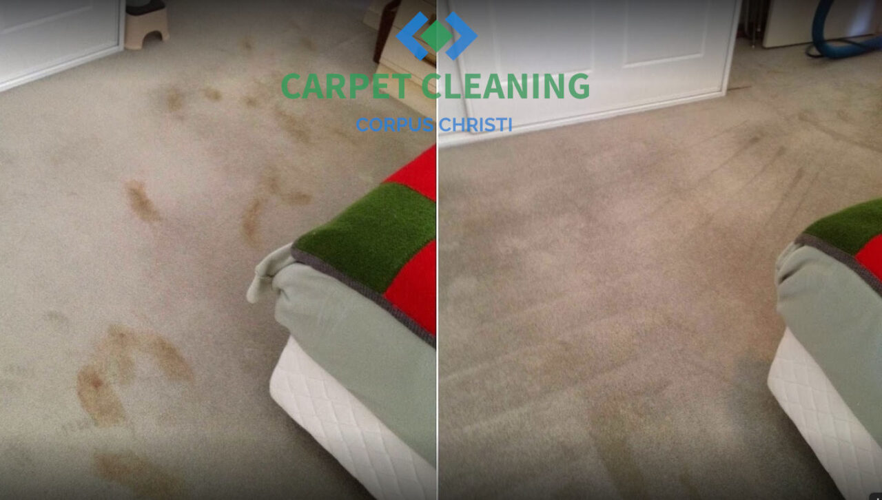Carpet Cleaning Corpus Christi, Texas Local & Professional