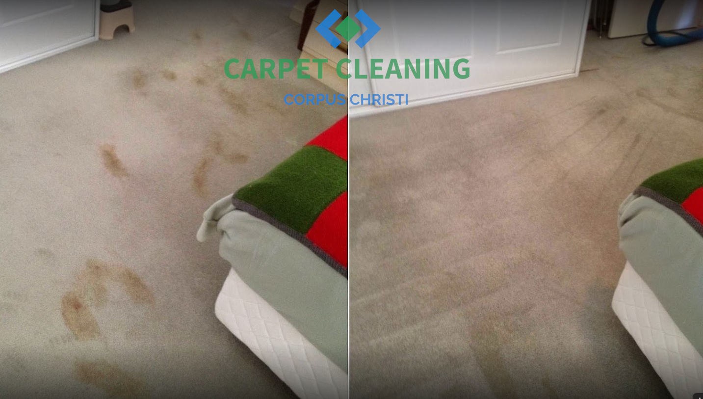 Carpet Cleaning Before and After Example